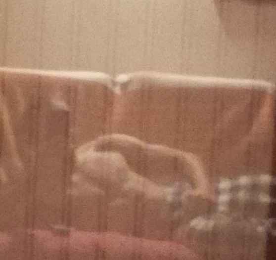 Ovide, 25 ans, Biache-Saint-Vaast