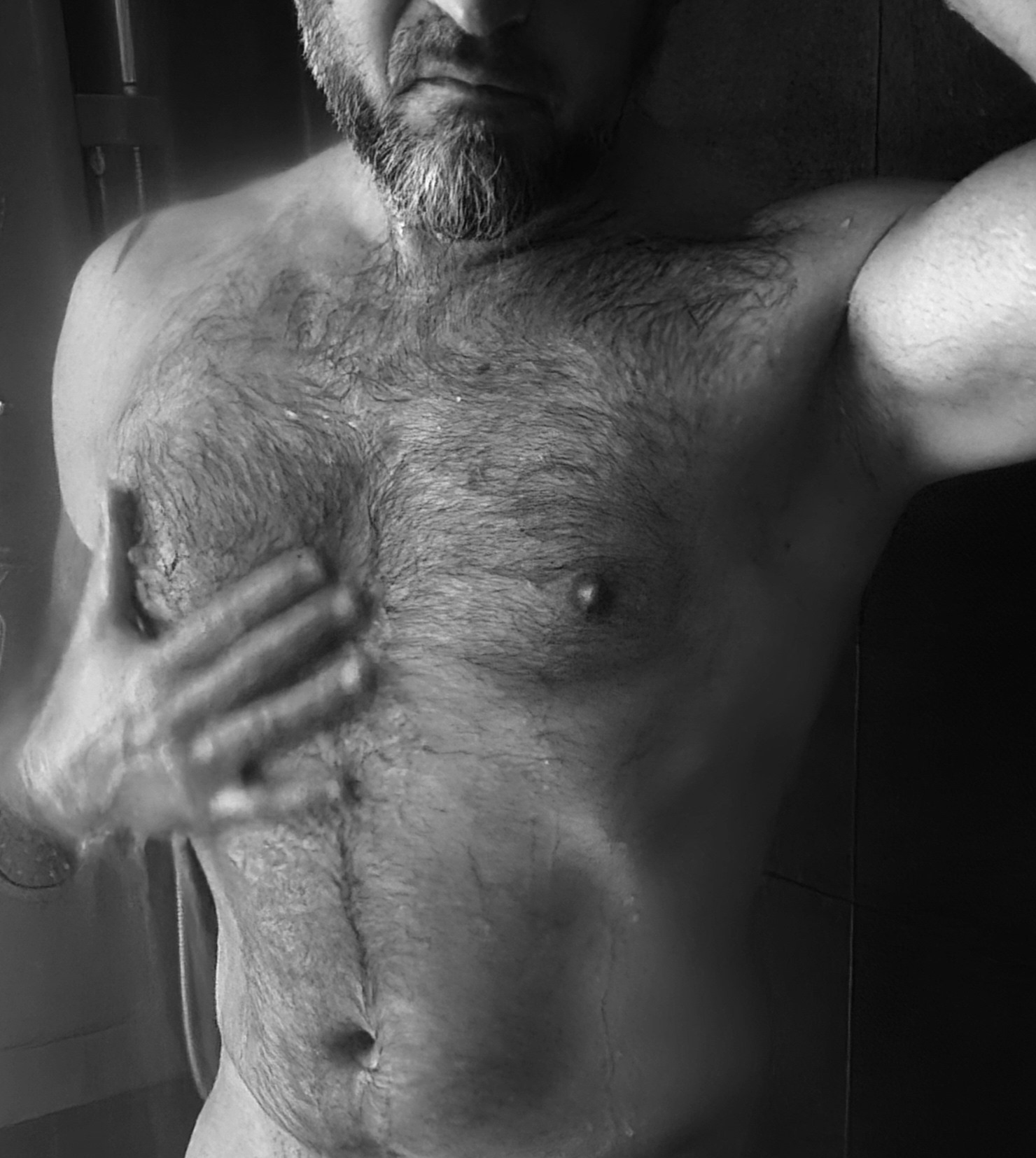 Heliodore, 45 ans, Aire-sur-la-Lys